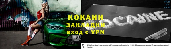 амф Ельня