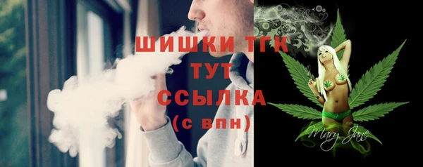 mdpv Елабуга