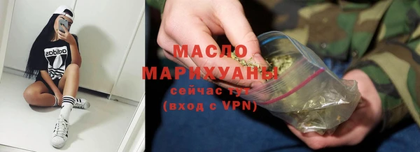 амф Ельня