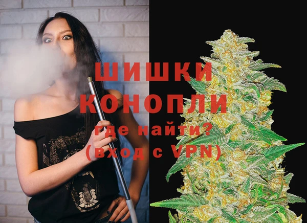 стафф Гусев