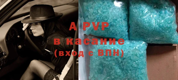 стафф Гусев
