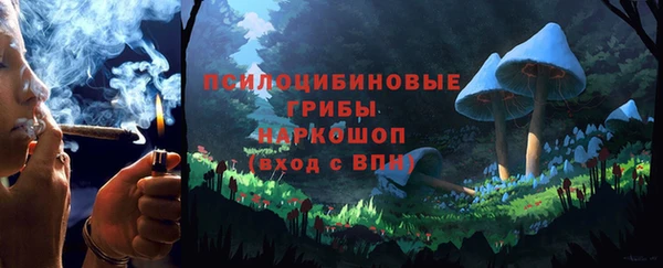 твердый Гусь-Хрустальный