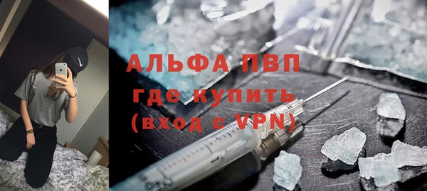 амф Ельня