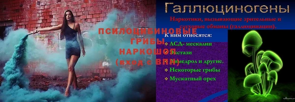 PSILOCYBIN Елизово