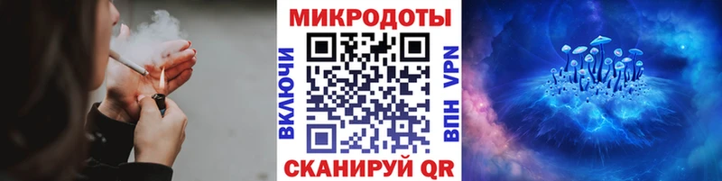 Купить закладки Луза Галлюциногенные грибы Psilocybe