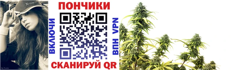 Купить закладки  Луза  Бошки Шишки тримм 